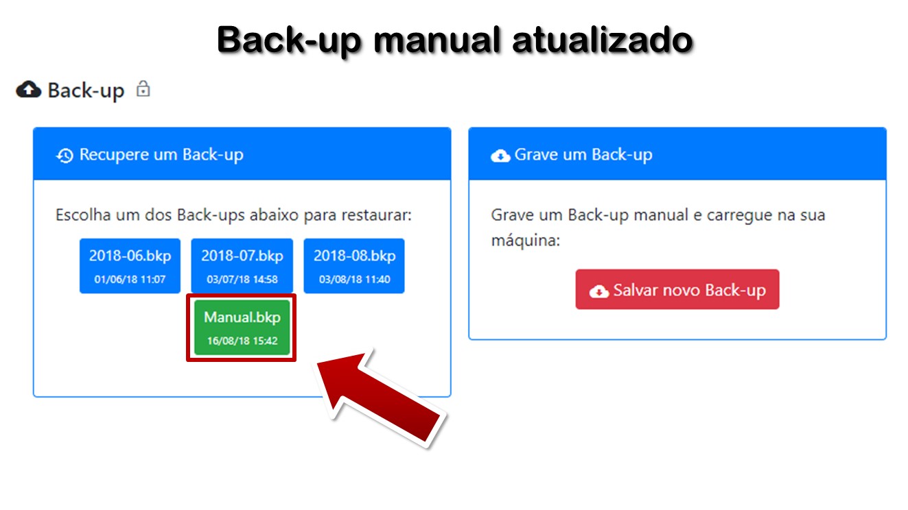 Back-up manual atualizado