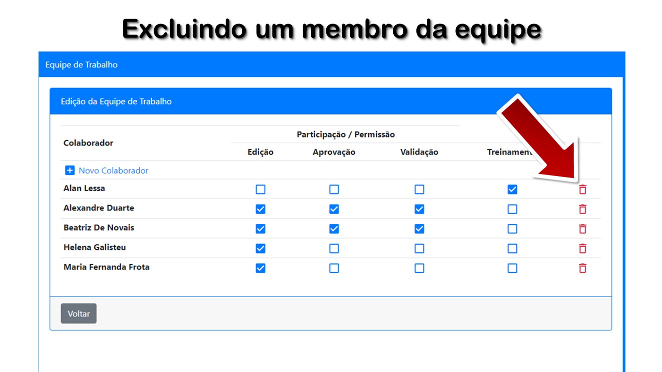 Excluindo um membro da equipe