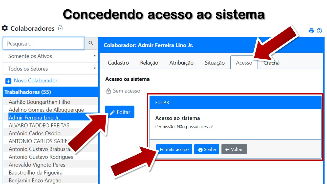 Concedendo acesso ao sistema