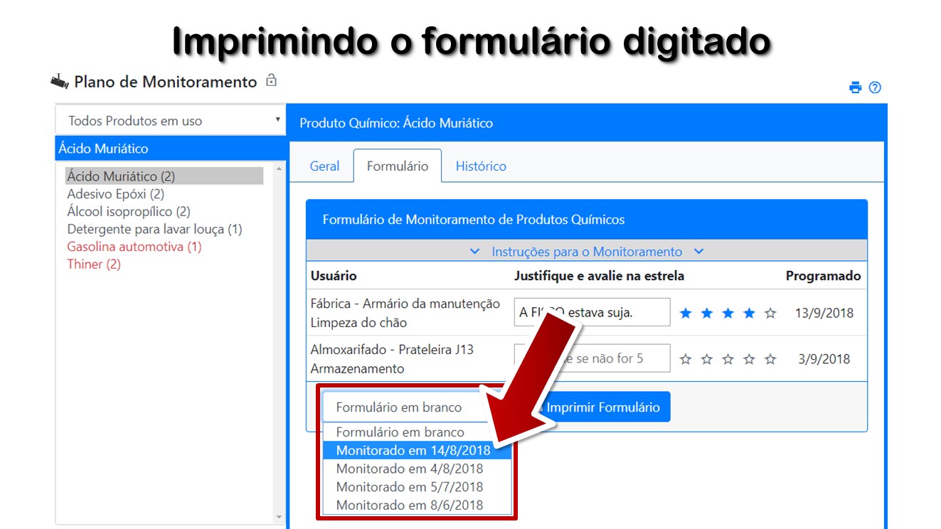 Imprimindo o formulário digitado